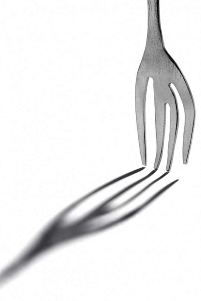 Roos Van de Velde x Serax Table Fork Floral Vulgaris