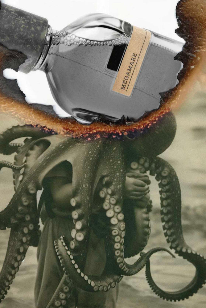 MEGAMARE 50ml orto parisi