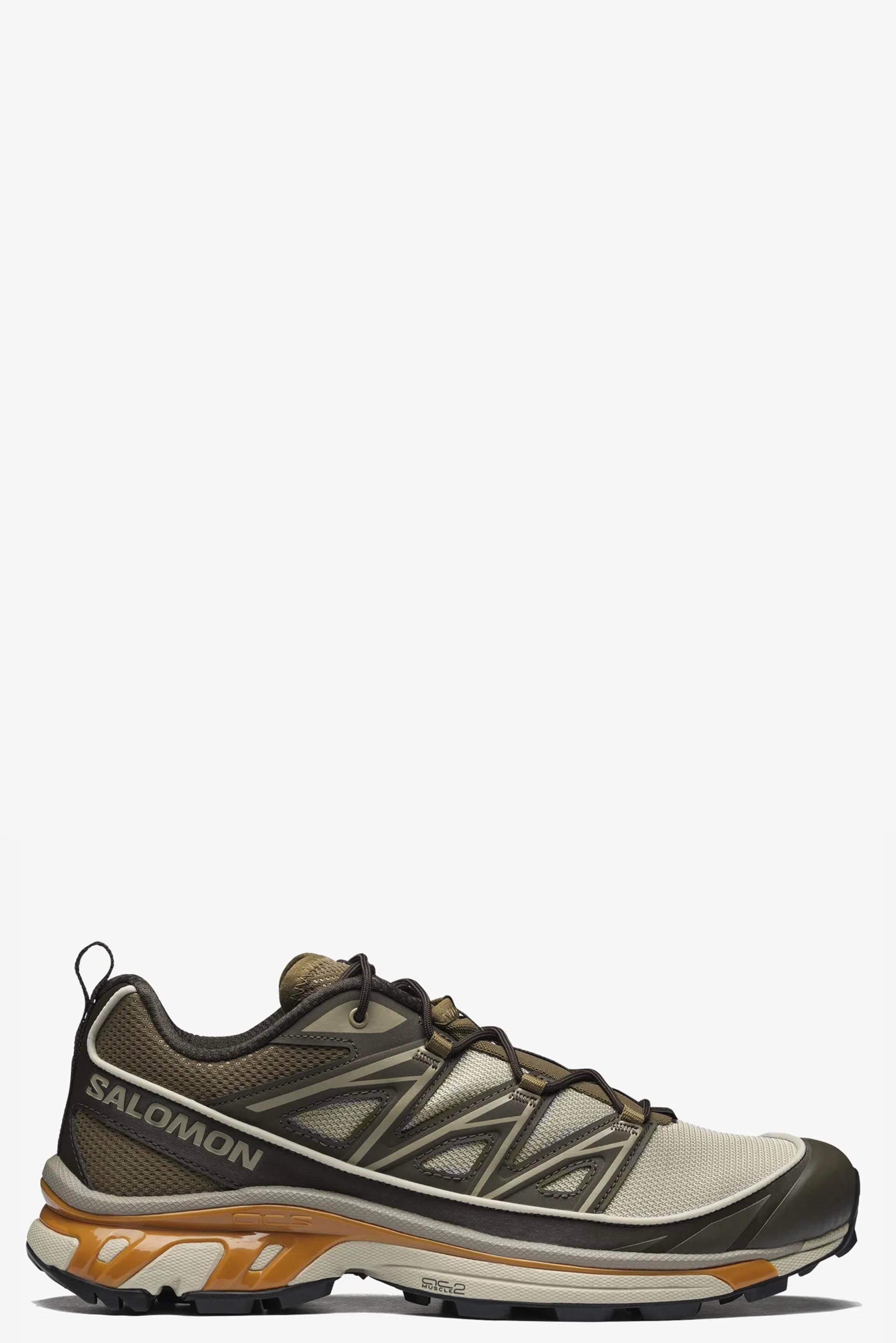 【Salomon】XT-6 EXPANSE FEATHER GRAY/DELICIOSO/GOLDEN OAK Salomon XT-6 Expanse Feather Gray / Delicioso / Golden Oak