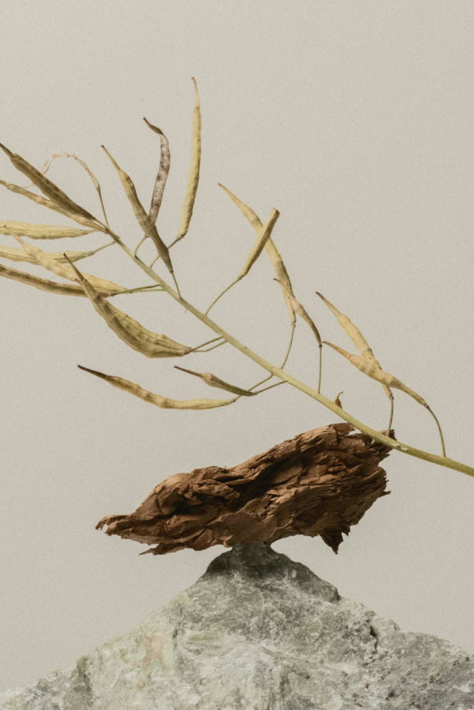 Winter in Manaslu 50ml